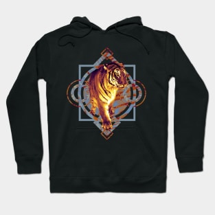 Year Of Tiger 2022 Hoodie